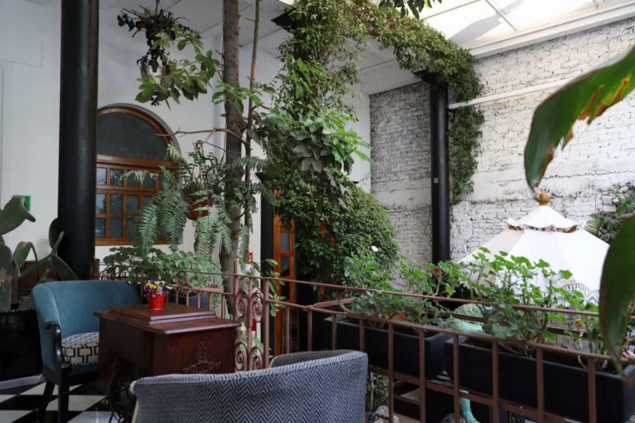 Galanga Thai House Hotel Ciudad de México Exterior foto